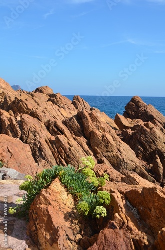 Massif de l'Estérel, calanques de Saint Raphaël  photo