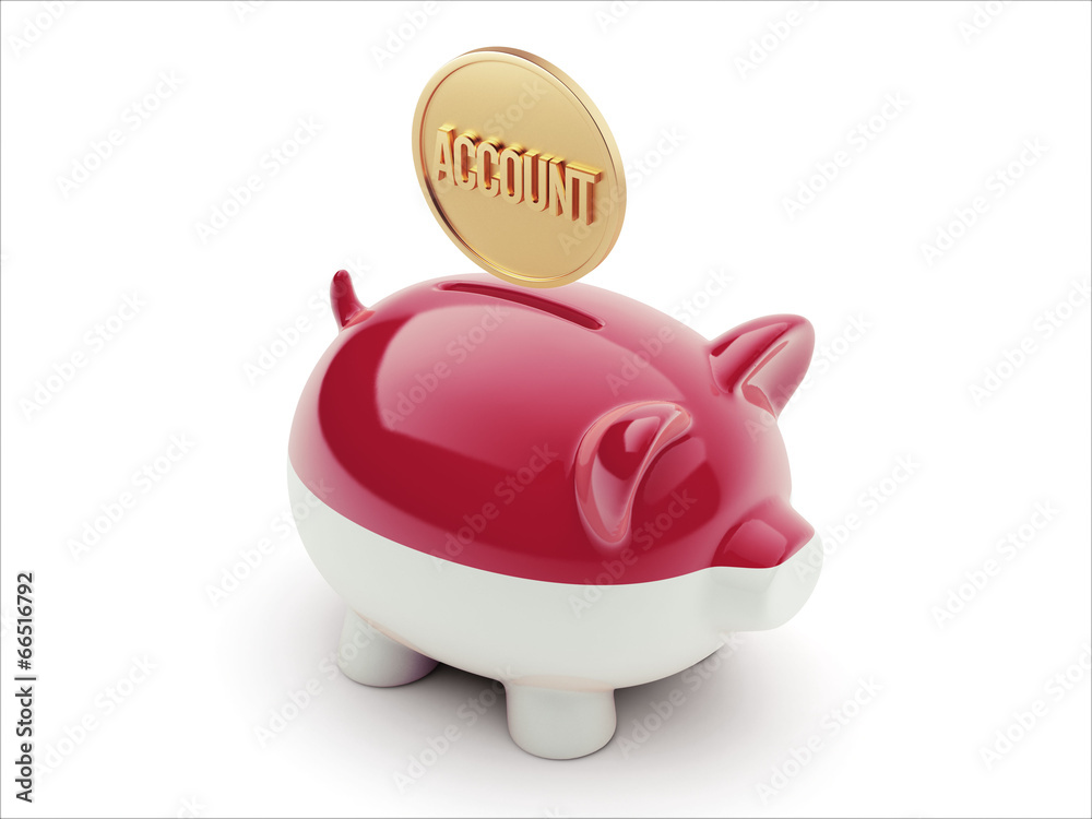 Indonesia  Account Concept. Piggy Concept