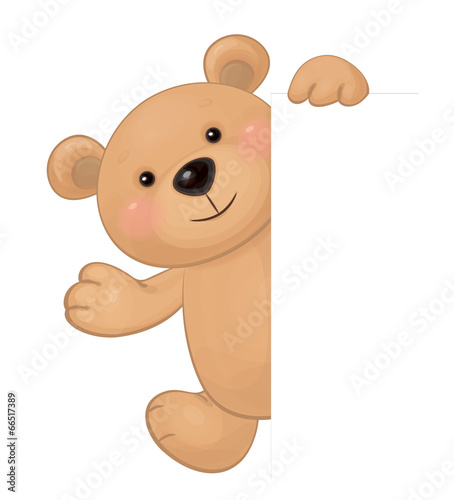 Vector of cute brown bear hiding by blank isolated.