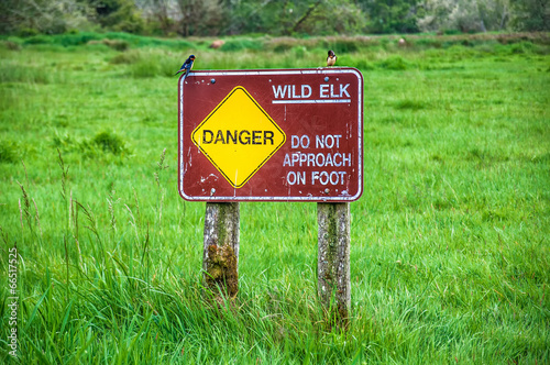 Wild Elk Sign in the Redwood Park