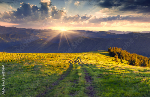 Colorful summer landscape in the mountains