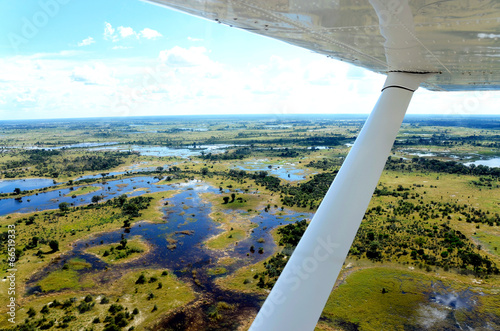 Okavango delta photo