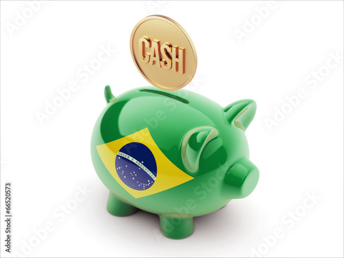 Brazil Piggy Concept