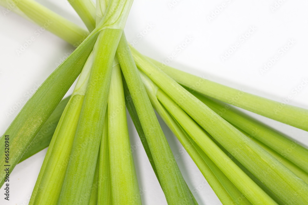 Fototapeta premium fresh green leek