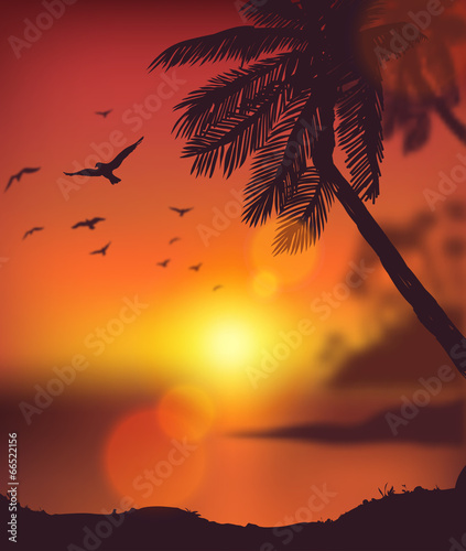 Summer sunset card #66522156