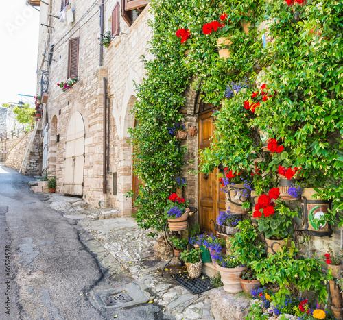 Carta da parati Fiori per Camera da Letto - Carta da parati Vicolo con fiori, Assisi