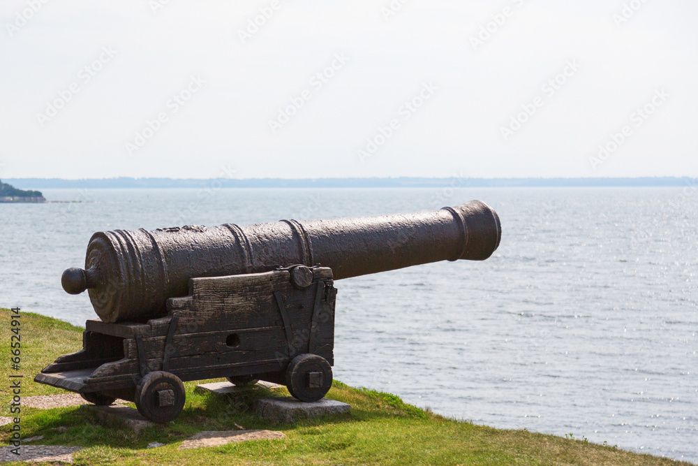 Cannon on a defensiv wall