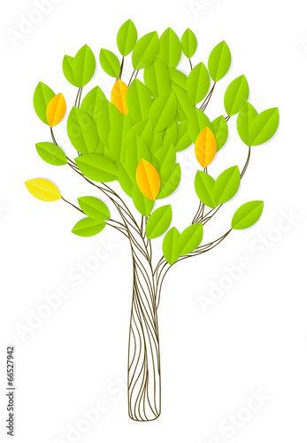 Hand - drawn tree