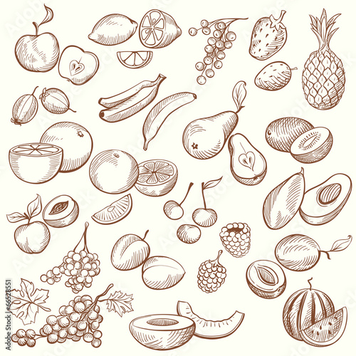 Set of Vintage Sketches Fruits in Freehand Style