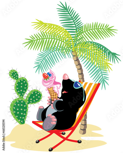 cartoon mole relaxing on beach