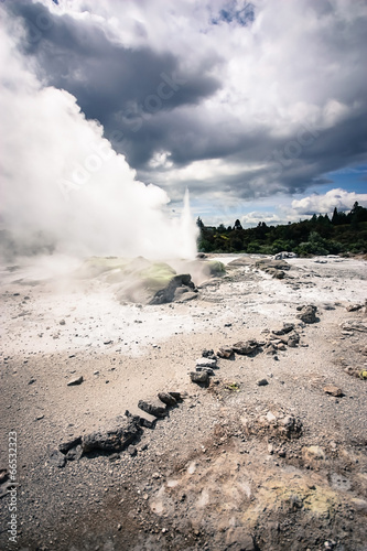 Obraz na płótnie Te Puia geyser in Rotorua w salonie