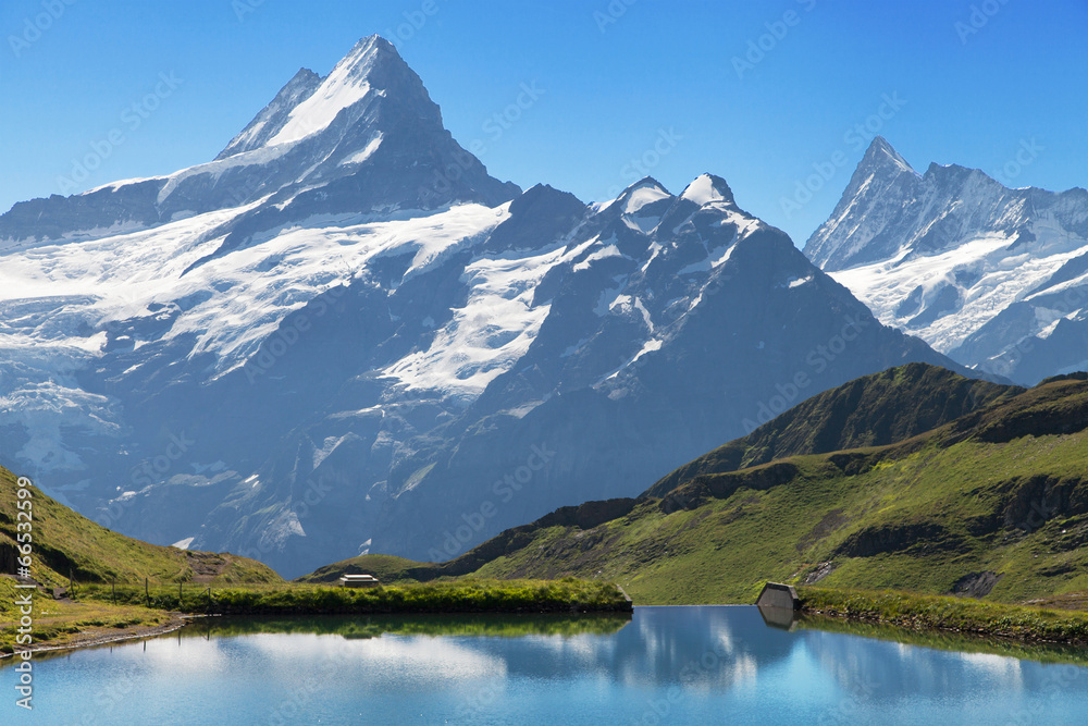 Bachalpsee, Schreckhorn and Finsteraarhorn Bachalpsee, Schreckhorn and Finsteraarhorn