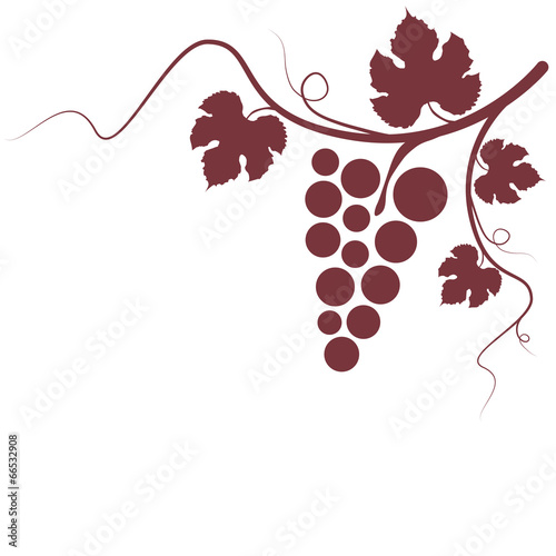 Weinrebe Rotwein