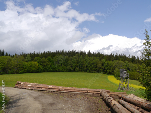 Landschaft mit Wiesen und Wald photo