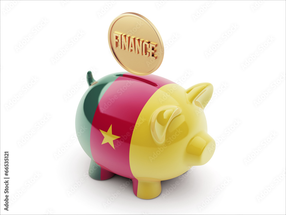 Cameroon Piggy Concept Cameroon Piggy Concept