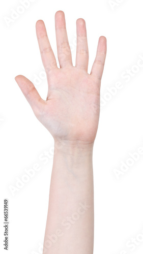 open five fingers hand gesture