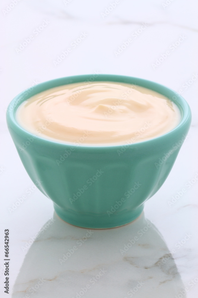 plain french style yogurt plain french style yogurt