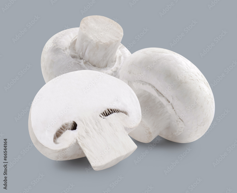 Two white mushrooms and slice isolated on grey background Two white mushrooms and slice isolated on grey background