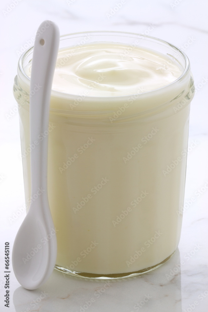 plain french style yogurt plain french style yogurt