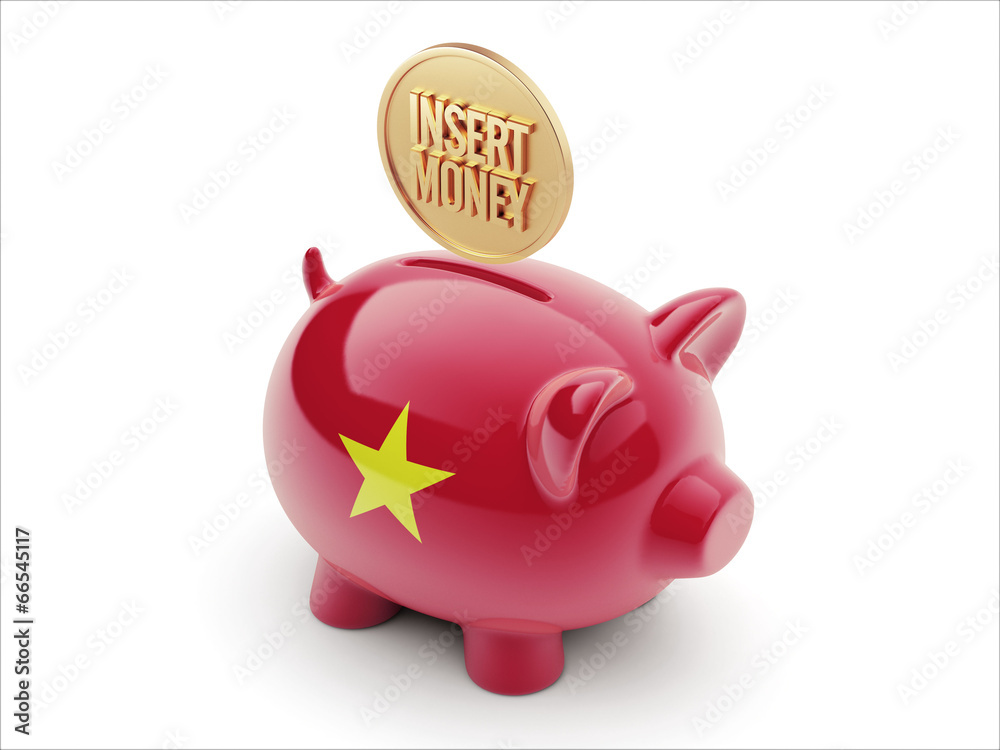 Vietnam Insert Money Concept Piggy Concept Vietnam Insert Money Concept Piggy Concept