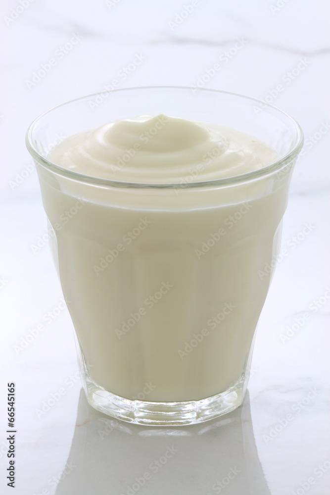 plain french style yogurt plain french style yogurt