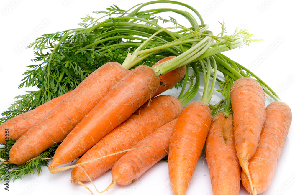 Bunch of fresh carrots with leaves Bunch of fresh carrots with leaves