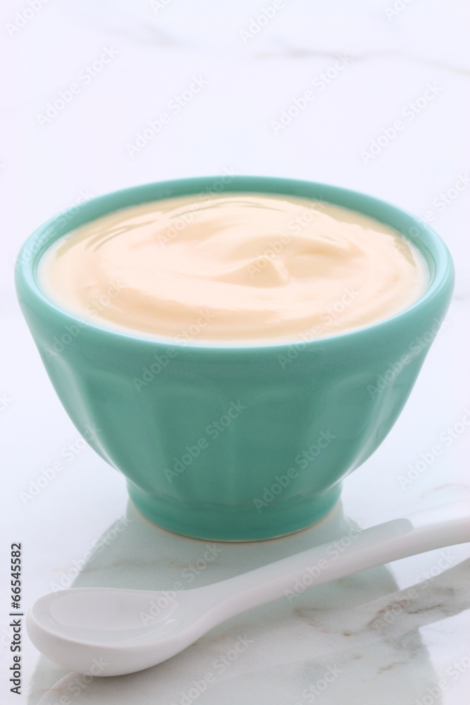 plain french style yogurt plain french style yogurt