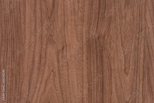 Light Brown Wood Texture Background with Copyspace