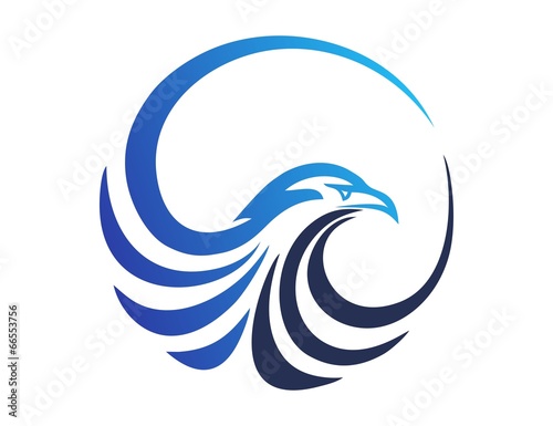 Canvas-taulu hawk logo,eagle symbol,bird icon media concept modern business vector design
