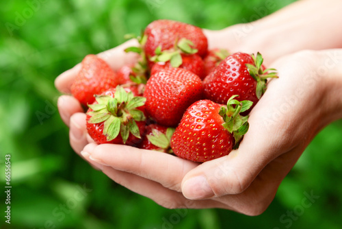 Ripe sweet strawberries in female hands on bright background