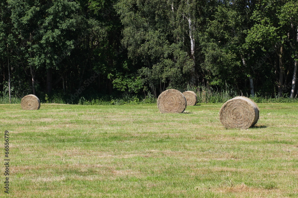 Some hay bales on a mowed meadow Some hay bales on a mowed meadow