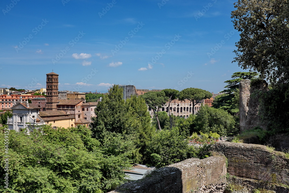 Fototapeta premium Roma