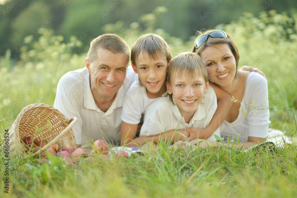 Fototapeta premium Rodzina ma piknik