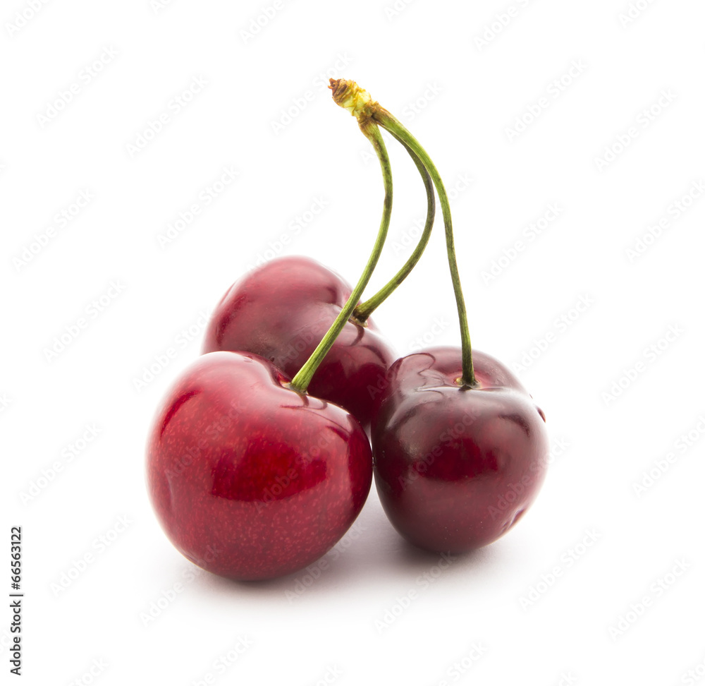cherry cherry
