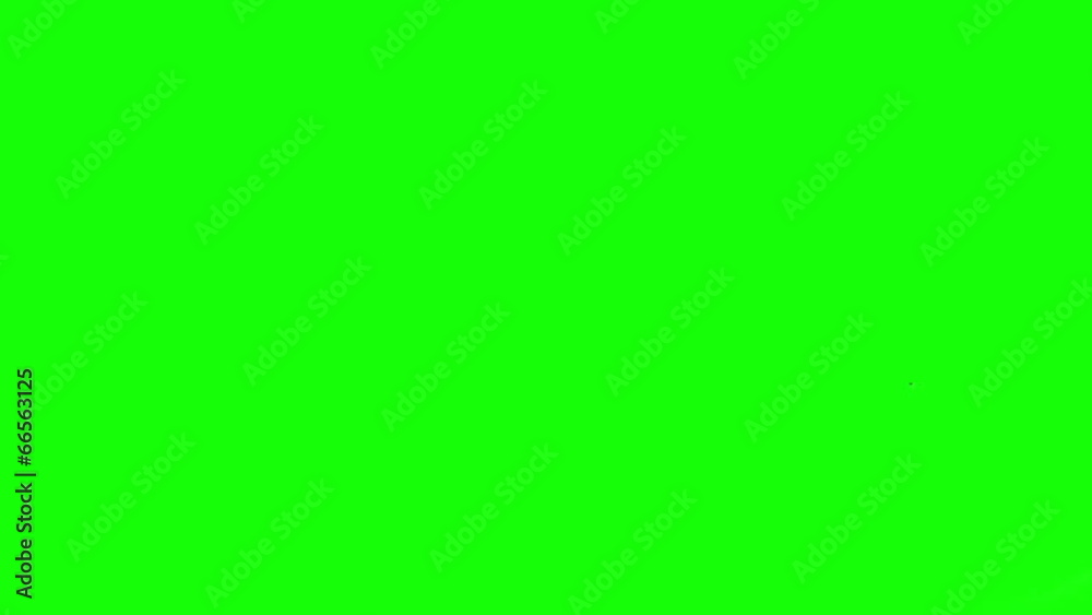 Birds fly across the sky. Green background.