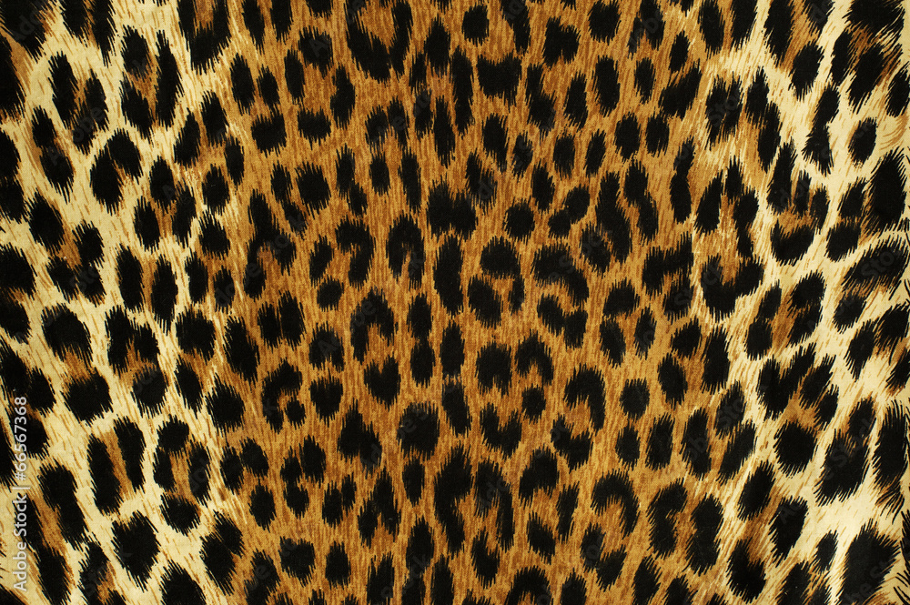 Naklejka premium Black spots of a leopard