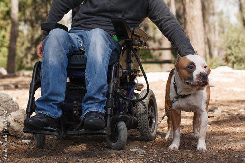 Man in a wheelchair with his faithful dog. photo