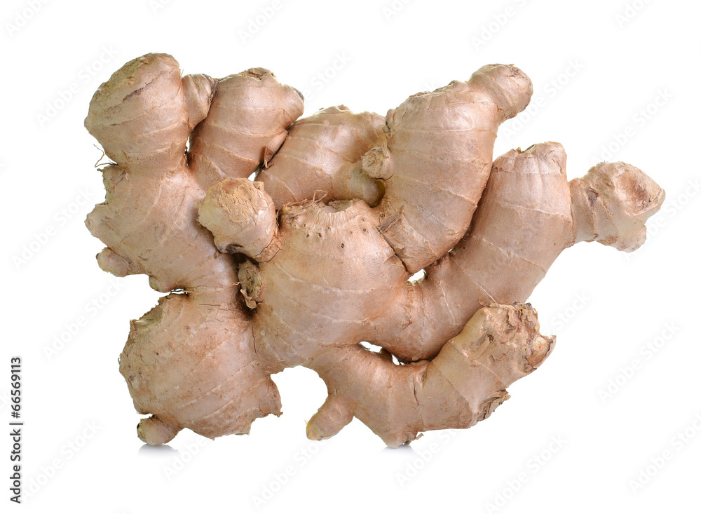 Ginger root isolate on a white background Ginger root isolate on a white background