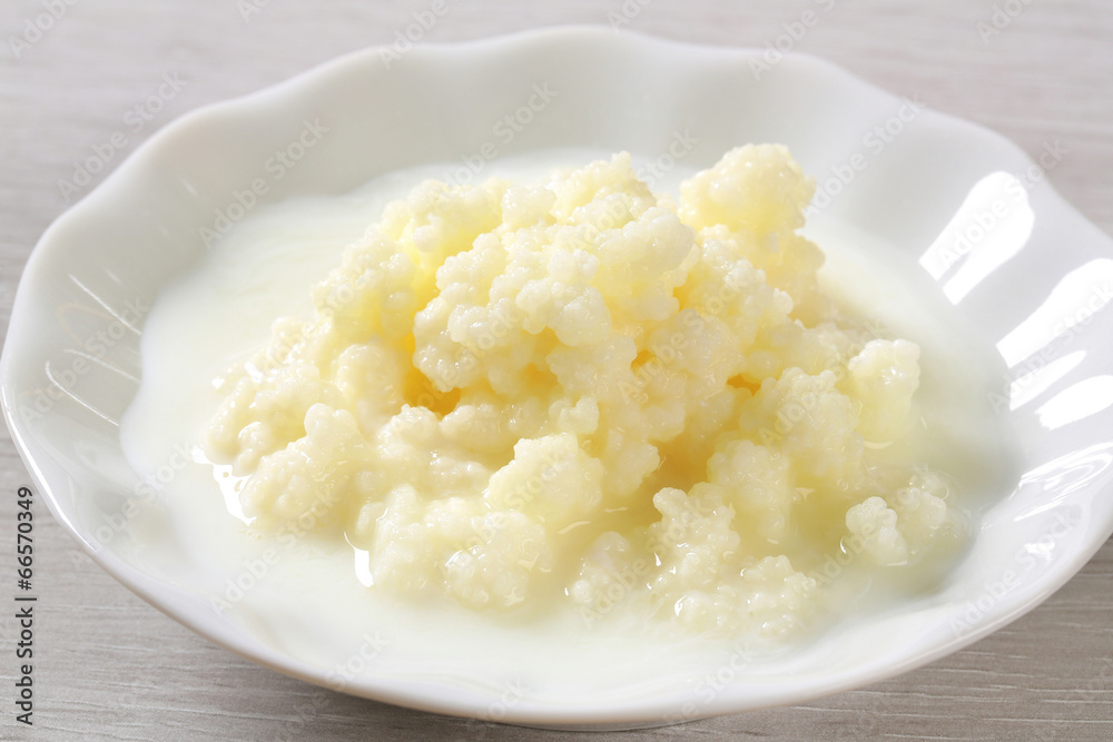 Milk kefir grains (Tibetan mushroom)