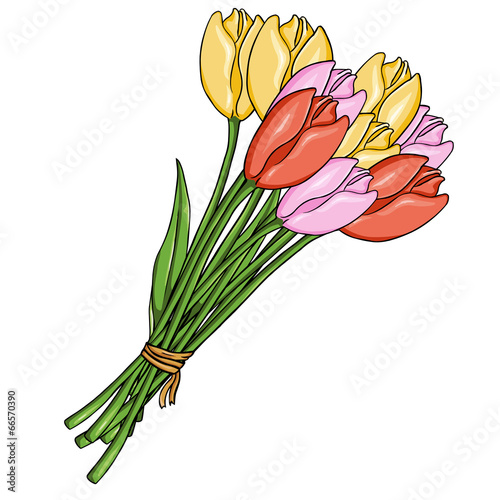 Fototapeta Naklejka Na Ścianę i Meble -  Vector Cartoon Bouquet of Color Tulips