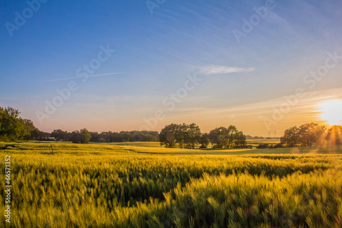 Foto Sonnenuntergang im Frühsommer