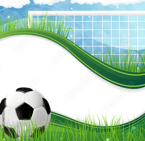 Soccer gate and ball