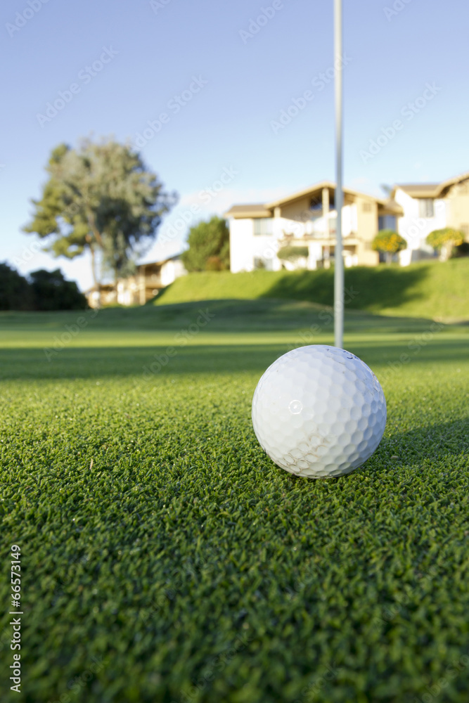 Obraz premium Ball for golf