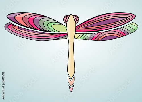 dragonfly