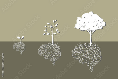  Brain Roots Growing into Trees Concept of Sustainable Thinking