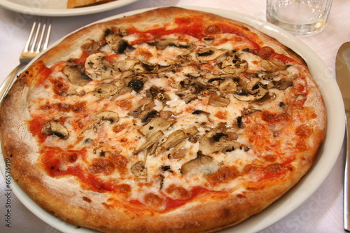 Pizza mit Thunfisch und Pilzen