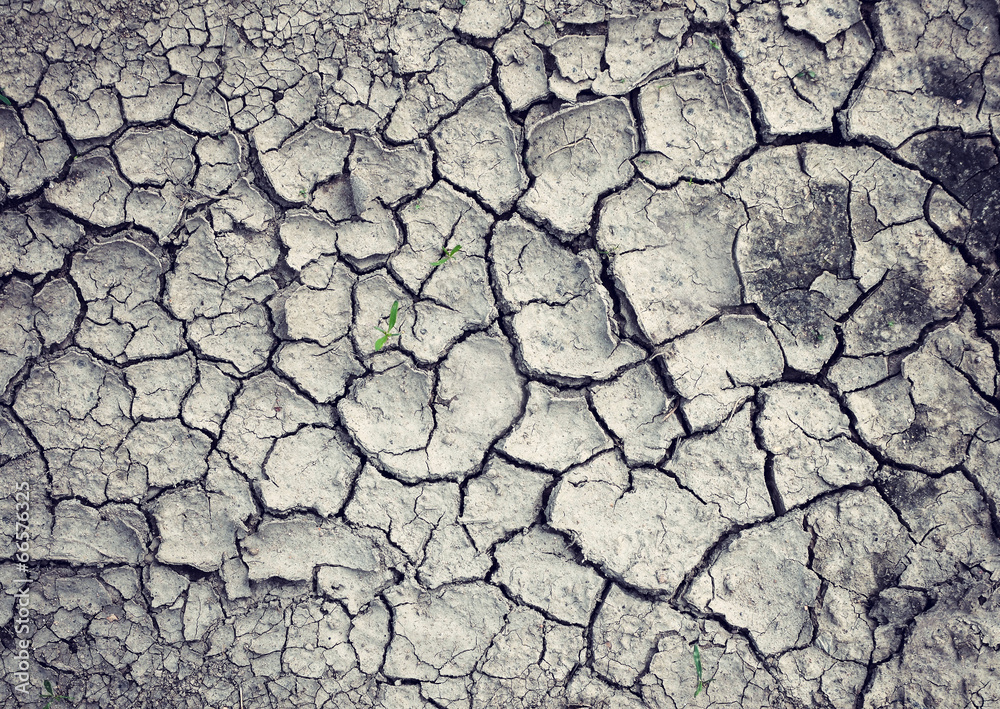 Cracked soil surface Cracked soil surface