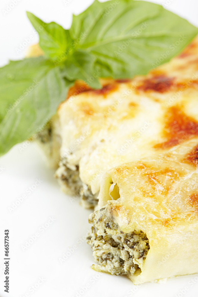 Cannelloni with spinach and ricotta baked in sauce bechamel Cannelloni with spinach and ricotta baked in sauce bechamel