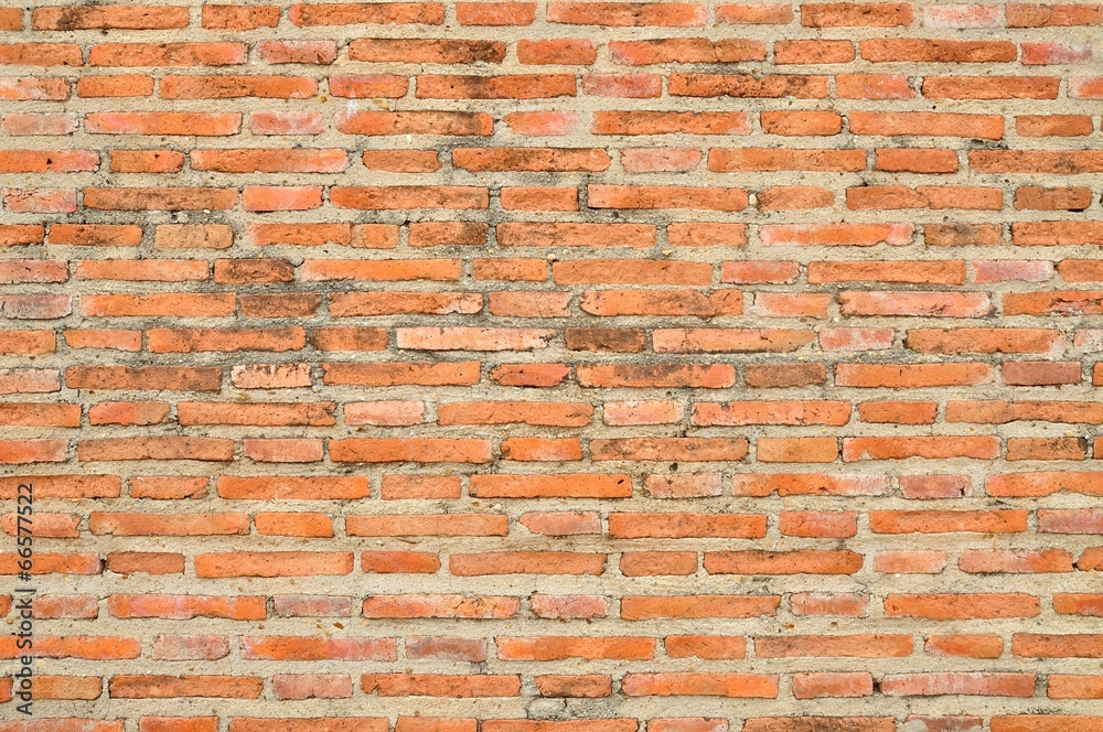 Obraz premium Grunge Brick Wall