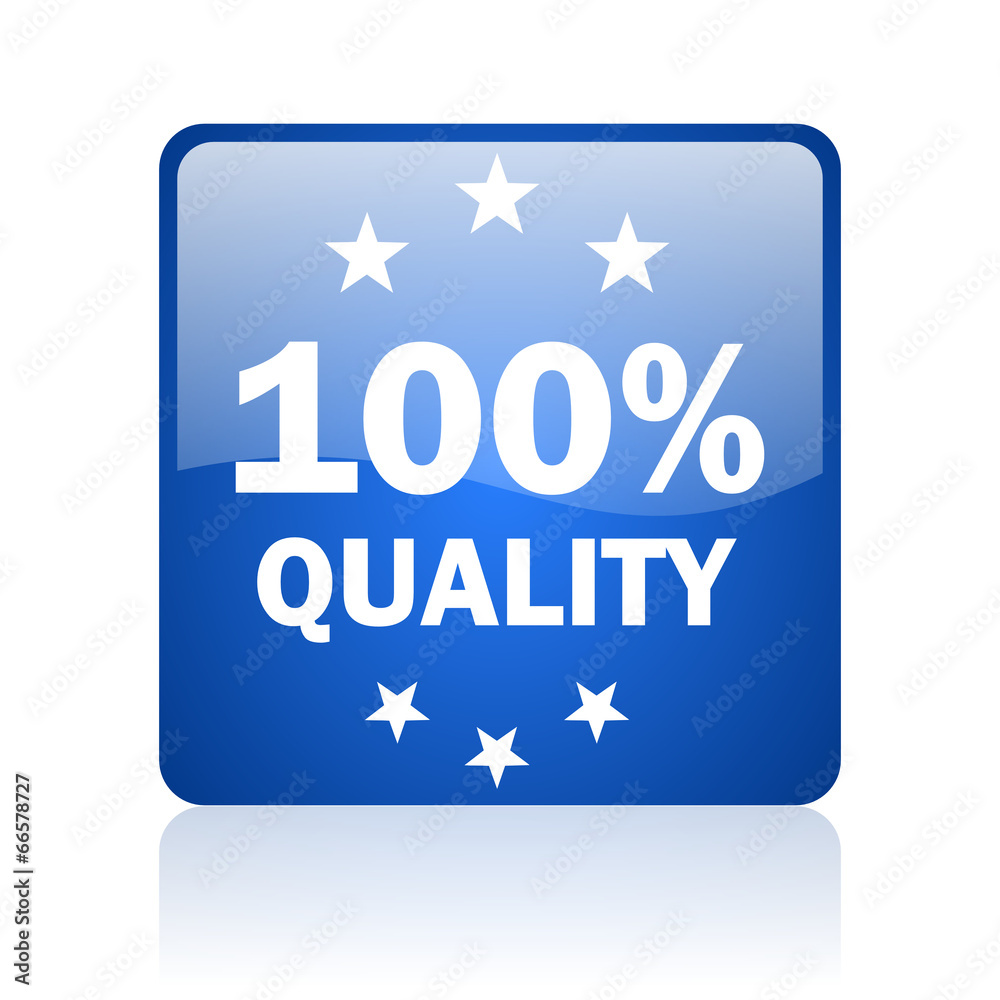 quality blue glossy web icon
